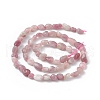 Natural Plum Blossom Tourmaline Beads Strands G-B039-01B-2