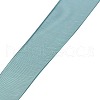 Polyester Organza Ribbon ORIB-L001-03-347-2
