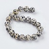 Natural Dalmation Jasper Beads Strands X-G-G515-10mm-06-2