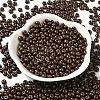 Baking Paint Glass Seed Beads SEED-B001-02A-02-2