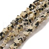Natural Dalmatian Jasper Beads Strands G-G085-B13-01-1