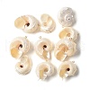 Natural Sea Shell Pendants SSHEL-C013-03-1