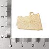 Alloy Enamel Pendants FIND-H047-04G-02-3