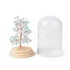 Natural Aquamarine Chips Money Tree in Dome Glass Bell Jars with Wood Base Display Decorations DJEW-B007-04C-3