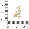 Brass Micro Pave Cubic Zirconia Charms ZIRC-I356-32G-3