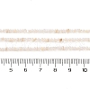 Natural Freshwater Shell Beads Strands SHEL-P017-01A-02-4