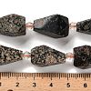 Natural Snowflake Obsidian Beads Strands G-NH0005-B03-01-5