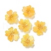 Cellulose Acetate(Resin) Pendants MACR-M046-06-1