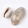 Cowrie Shell Pendants SSHEL-T008-27-2