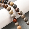 Natural Picture Jasper Beads Strands G-S390-07-8mm-1