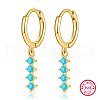 S925 Sterling Silver Hoop Earrings RL0741-9-1