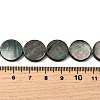 Natural Black Lip Shell Beads Strands BSHE-D300-05-14mm-4