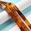 Natural Agate Beads Strands G-H295-E01-03-2