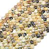 Natural Flower Amazonite Beads Strands G-C116-A72-02-2