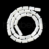 Natural Trochus Shell Beads Strands X-BSHE-Z003-18-2