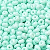 Baking Paint Glass Seed Beads X1-SEED-B001-02A-14-3