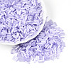 Glass Bugle Beads SEED-N007-28D-1