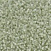 MIYUKI Delica Beads X-SEED-J020-DB1765-3