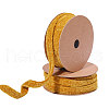 Polyester Chenille Ribbon OCOR-WH0097-36D-1