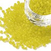 (Repacking Service Available) Glass Seed Beads SEED-C017-3mm-M10-1