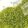 TOHO Round Seed Beads SEED-XTR11-0024F-1