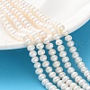 Natural Cultured Freshwater Pearl Beads Strands PEAR-I007-02E-03C-1