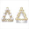 Alloy Pendants PALLOY-T077-16-2