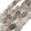 Natural Black Soya Bean Raw Ore Beads Strands G-M453-D08-2