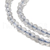 Natural Labradorite Beads Strands G-RM241221-A10-3