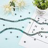 Olycraft Frosted Natural African Turquoise(Jasper) Round Beads G-OC0001-07-5