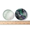 Natural Fluorite Carved Flat Round Figurines Statues for Home Desktop Decoration DJEW-A016-04-3