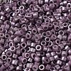 Baking Paint Glass Seed Beads X-SEED-S042-15A-14-3