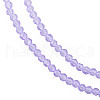 Transparent Glass Beads Strands GLAA-N041-009-05-3