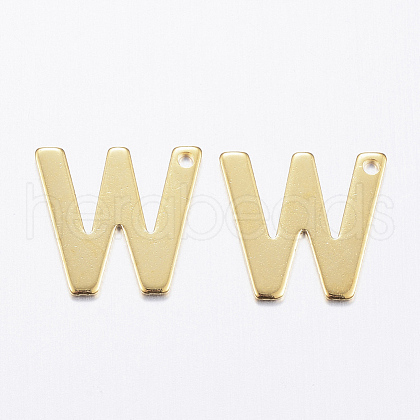 304 Stainless Steel Charms STAS-P141-W-1