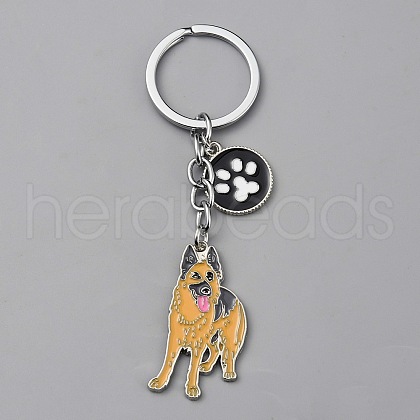 Alloy Keychain KEYC-SZC0006-01R-1