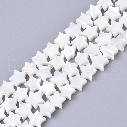 Natural Trochid Shell/Trochus Shell Bead Strands SSHEL-N034-68A-1