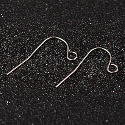 304 Stainless Steel Earring Hook Jewelry Findings STAS-M248-02-1