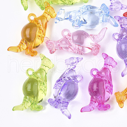 Transparent Acrylic Pendants TACR-S133-113-1