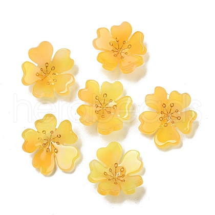 Cellulose Acetate(Resin) Pendants MACR-M046-06-1