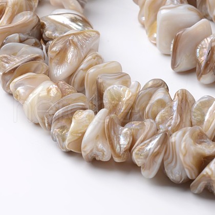 Natural Freshwater Shell Bead Strands BSHE-O016-05-1
