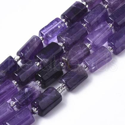 Natural Amethyst Beads Strands G-S345-8x11-004-1