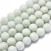 Natural Myanmar Jade/Burmese Jade Beads Strands G-D0001-09-10mm-1