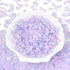 Frosted Glass Seed Beads SEED-N008-05G-2