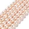 Natural Cultured Freshwater Pearl Beads Strands PEAR-E016-122-1