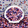 Frosted Glass Seed Beads SEED-N007-21B-2