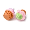 3D Opaque Resin Pendants RESI-V010-02-2