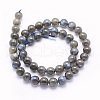 Natural Labradorite Beads Strands G-O166-08-8mm-2