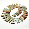 Chips Natural Aqua Terra Jasper Beads Strands G-N0131-18-1