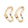Brass Micro Pave Cubic Zirconia Screw Carabiner Lock Charms ZIRC-L093-59G-1