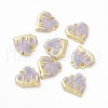 Alloy Enamel Pendants FIND-E026-05LG-04-1